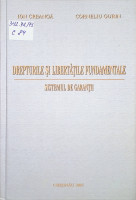 Drepturile şi libertăţile fundamentale. Sistemul de garanţii