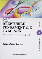 Drepturile fundamentale la muncă : promovare şi protecţie internaţională