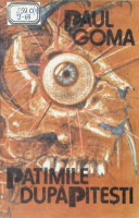 Patimile după Piteşti