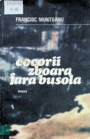 Cocorii zboară fără busolă: Roman
