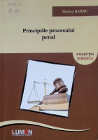 Principiile procesului penal