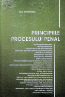 Principiile procesului penal