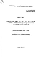 Bănuiala rezonabilă: cadrul procesual penal național și jurisprudența Curții Europene pentru Drepturile Omului