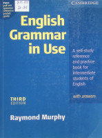 English Grammar in Use