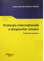 Protecția internațională a drepturilor omului