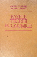 Bazele teoriei economice