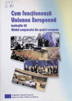 Cum funcționează Uniunea Europeană