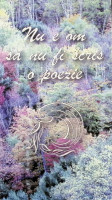 Nu e om să nu fi scris o poezie