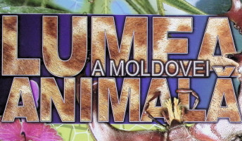 Lumea animală a Moldovei