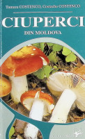 Ciuperci din Moldova