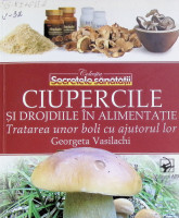 Ciupercile și drojdiile în alimentație: tratarea unor boli cu ajutorul lor